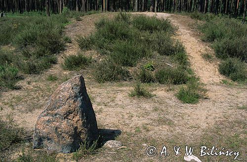 krąg kamienny, kurhan w Odrach w Borach Tucholskich