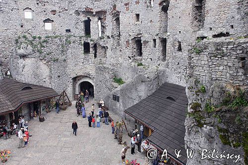 Ogrodzieniec, ruiny zamku