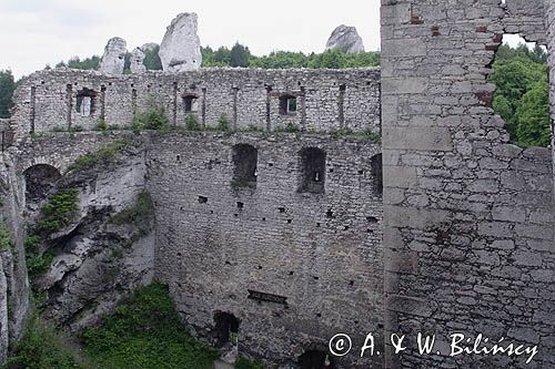 Ogrodzieniec, ruiny zamku