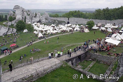 Ogrodzieniec, V Najazd Barbarzyńców, skała Wielbłąd