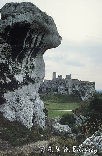 ruiny zamku Ogrodzieniec Szlak Orlich Gniazd