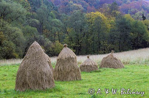 Ojcowski Park Narodowy tradycyjne kopki siana