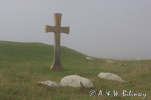 na południu wyspy, wyspa Oland, Szwecja