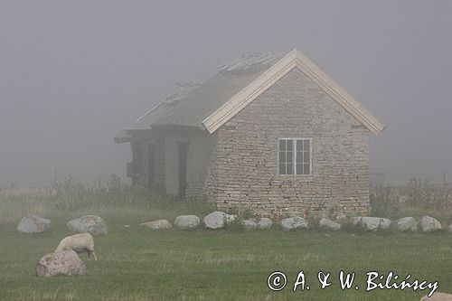 na południu wyspy, wyspa Oland, Szwecja