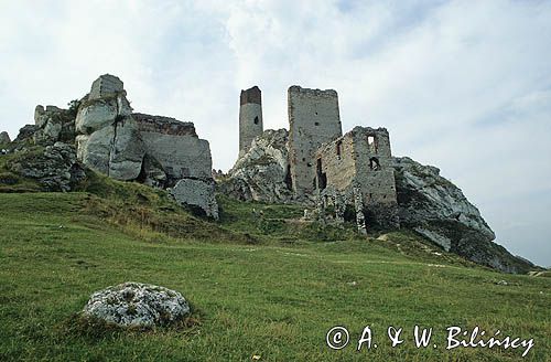 Olsztyn ruiny zamku Jura Krakowsko-Częstochowska, Szlak Orlich Gniazd