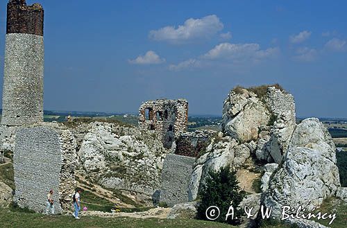 Olsztyn ruiny zamku Jura Krakowsko-Częstochowska, Szlak Orlich Gniazd