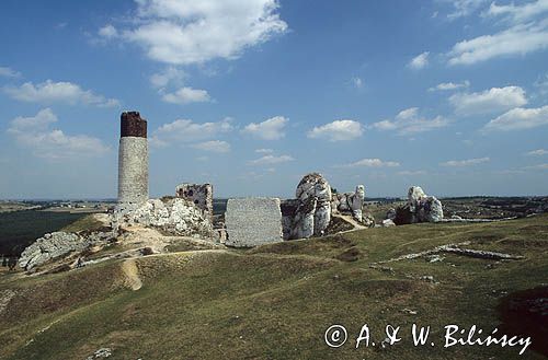 Olsztyn ruiny zamku Jura Krakowsko-Częstochowska, Szlak Orlich Gniazd