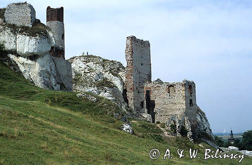 Olsztyn ruiny zamku Jura Krakowsko-Częstochowska, Szlak Orlich Gniazd