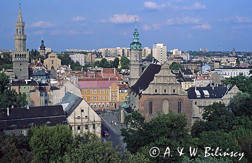 Opole, widok z wieży zamku