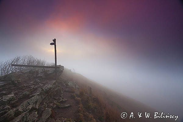 Na Osadzkim Wierchu, Bieszczady, Bieszczadzki Park Narodowy