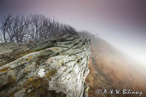 Na Osadzkim Wierchu, Bieszczady, Bieszczadzki Park Narodowy