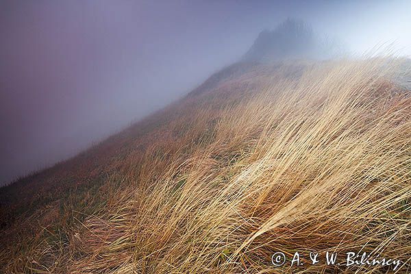 Na Osadzkim Wierchu, Bieszczady, Bieszczadzki Park Narodowy