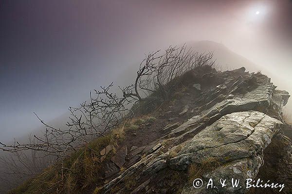 Na Osadzkim Wierchu, Bieszczady, Bieszczadzki Park Narodowy