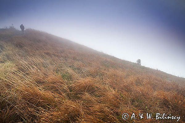 Na Osadzkim Wierchu, Bieszczady, Bieszczadzki Park Narodowy