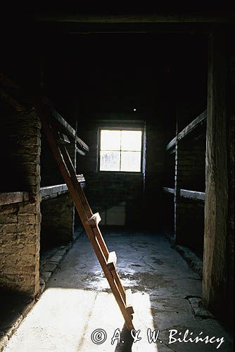 Oświęcim - Brzezinka, Birkenau