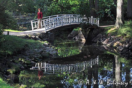 mostek w Parku Botanicznym Tyszkiewiczów w Połądze, Połąga, Palanga, Litwa Palanga, Lithuania