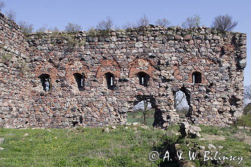 Papowo Biskupie, ruiny zamku krzyżackiego z XIV