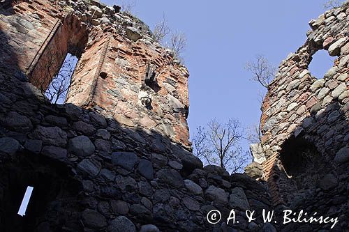 Papowo Biskupie, ruiny zamku krzyżackiego z XIV