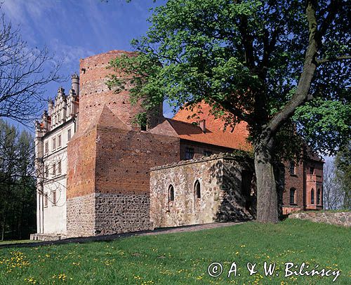 Pęzino, zamek