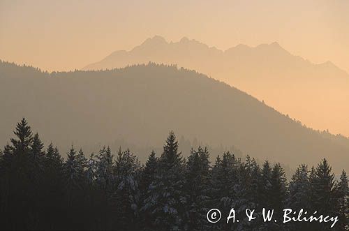 Pieniny i Tatry zimą, widok z Palenicy