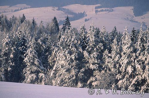 Pieniny zimą