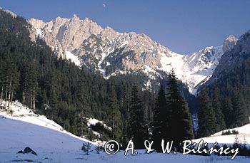 Polana Pisana Tatry