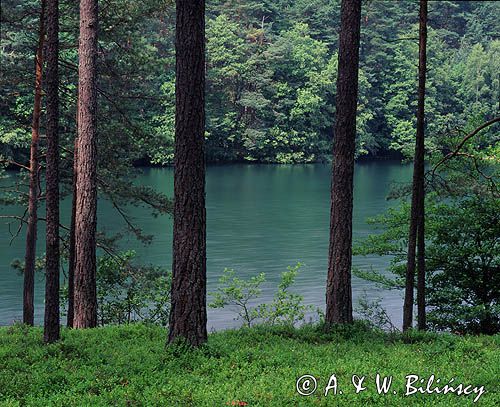 Park Krajobrazowy Dolina Słupi