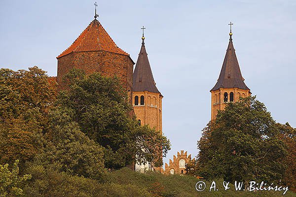 Płock, Bazylika katedralna Wniebowzięcia Najświętszej Maryi Panny i baszta zamku