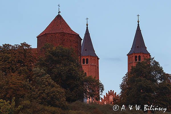 Płock, Bazylika katedralna Wniebowzięcia Najświętszej Maryi Panny i baszta zamku