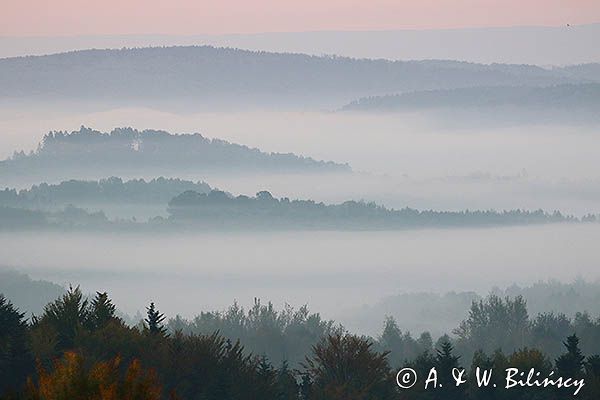 Świt, Pogórze Dynowskie