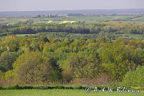 Podgórze Rzeszowskie, okolice Łańcuta, Kotlina Sandomierska