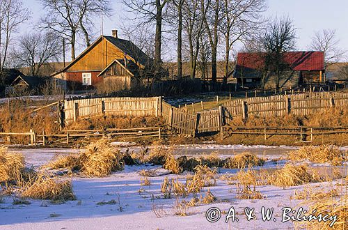 wieś Bindziuga nad Narwią