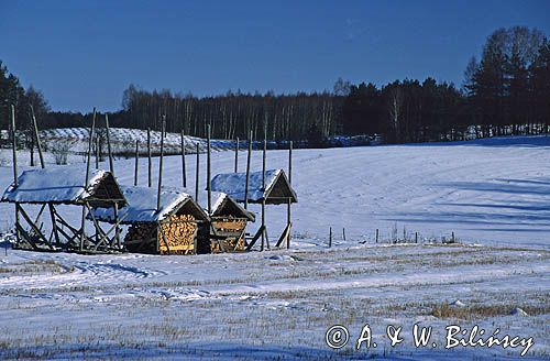 wieś Gonczary, Podlasie, brogi