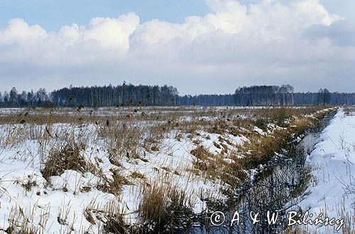 Podlasie