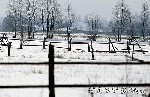 Podlasie zimą