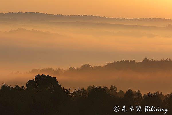 Świt, Pogórze Dynowskie