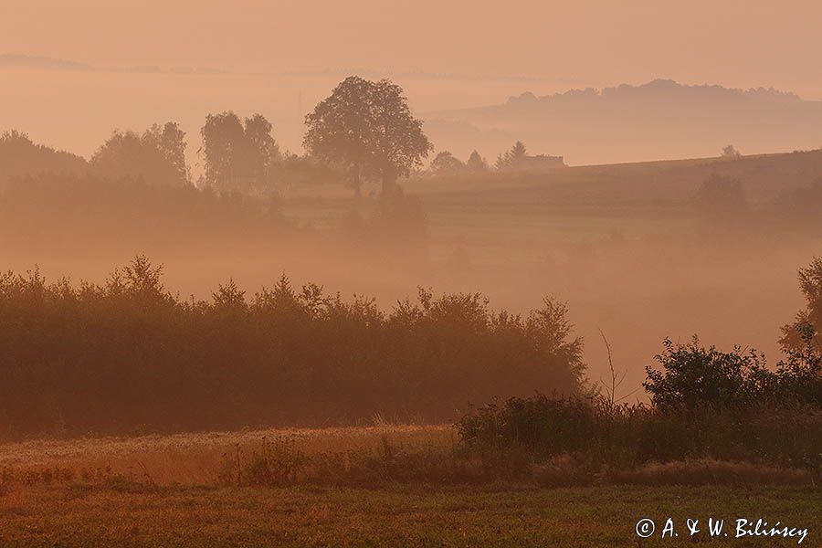 Świt, Pogórze Dynowskie