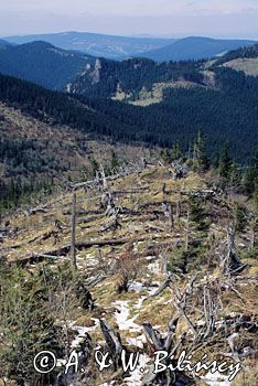 Tatry, efekt halnego widok z Grzybowca