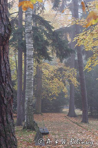 Polanica Zdrój, park zdrojowy