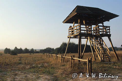 Poleski Park Narodowy, wieża widokowa