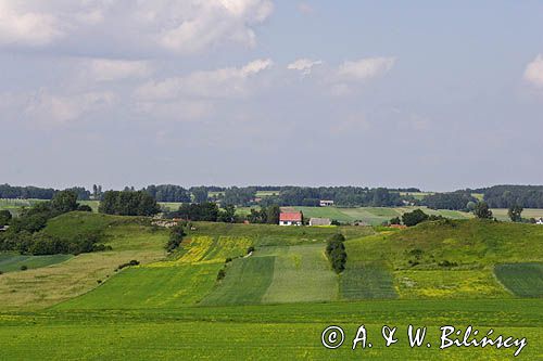 pola, Ponidzie