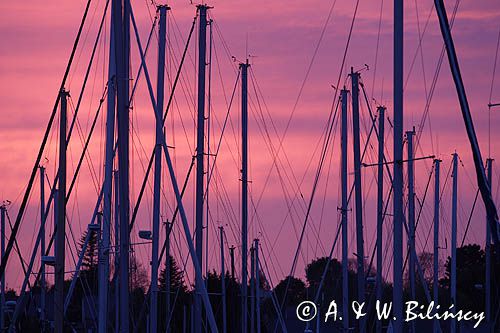 marina w Port la Foret, Finistere, Bretania, Francja