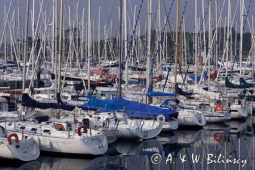 marina w Port la Foret, Finistere, Bretania, Francja