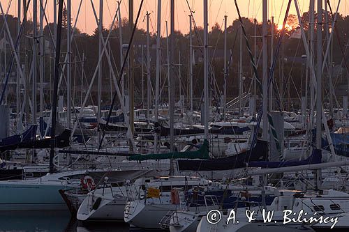 marina w Port la Foret, Finistere, Bretania, Francja