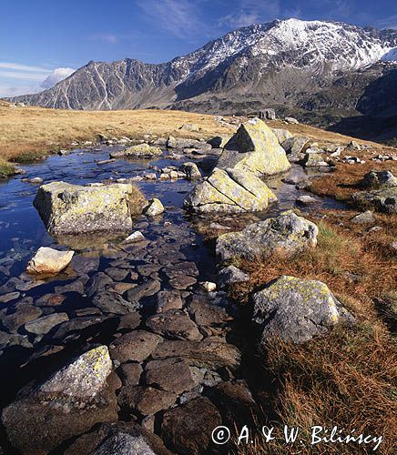 Tatry potok w Dolinie Pięciu Stawów Polskich