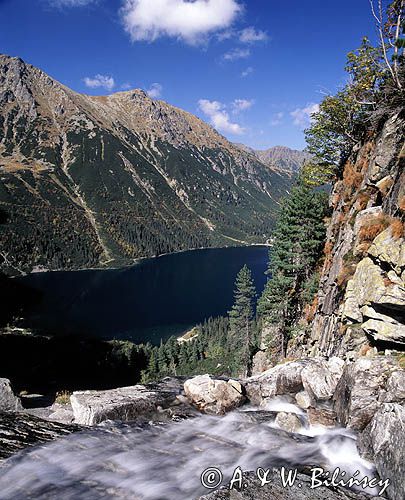 Tatry potok spod Czarnego Stawu w Dolinie Morskiego Oka