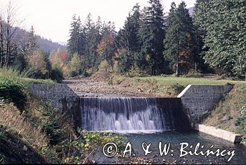 potok żylica, Szczyrk, Beskid Śląski