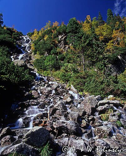 Potok spod Mnicha w Tatrach Morskie Oko
