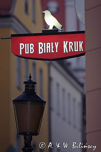 Poznań, szyld Pubu Biały Kruk