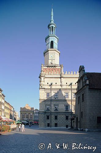 Poznań ratusz